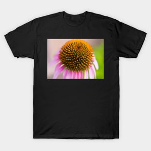 Purple Coneflower T-Shirt